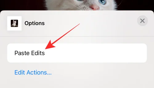 iOS 16의 iPhone 사진 앱에서 편집 내용을 복사하는 방법