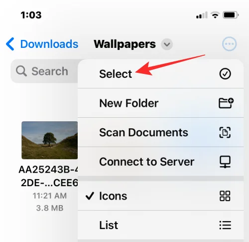 iPhone에서 여러 이미지를 PDF 파일로 병합하는 방법