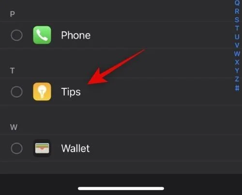 iPhone 14 Pro에서 Always-On 디스플레이를 어둡게 하는 방법