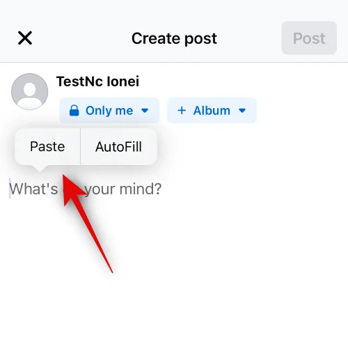 iPhone에서 Facebook에 복사하여 붙여넣는 방법 [2023]