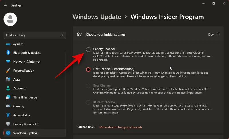 วิธีการติดตั้ง Windows 11 Canary Build