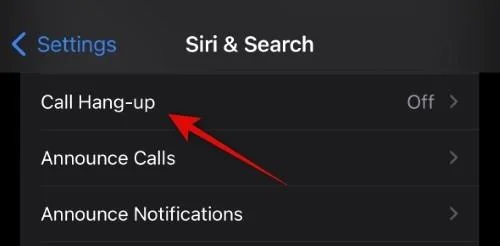 iPhone 14에서 Siri를 다운로드하고 사용하는 방법