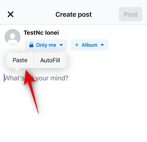 iPhone에서 Facebook에 복사하여 붙여넣는 방법 [2023]