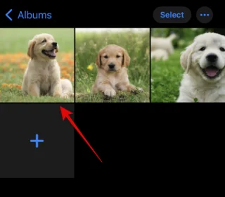 IOS 16：如何用照片製作貼紙