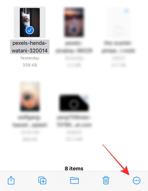 [쉬움] iPhone 또는 iPad에서 파일 앱을 사용하여 배경을 제거하는 방법