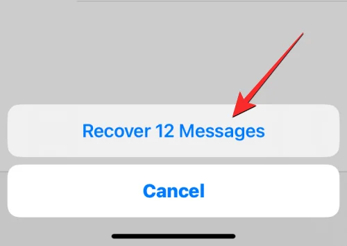 iOS 16 最近刪除的消息：我們完整的分步指南