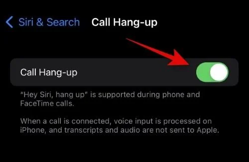 iPhone 14에서 Siri를 다운로드하고 사용하는 방법