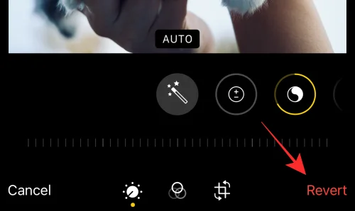 iOS 16의 iPhone 사진 앱에서 편집 내용을 복사하는 방법