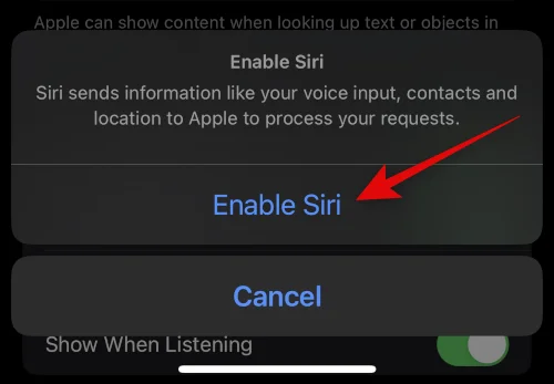 iPhone 14에서 Siri를 다운로드하고 사용하는 방법