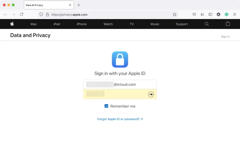 iCloud에서 Google 포토로 사진을 이동하는 방법 [2023]