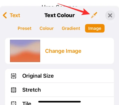 iPhone에서 글꼴 색상을 변경하는 방법