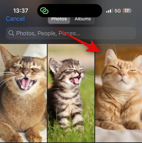 iOS 17이 설치된 iPhone에서 누군가를 위한 연락처 포스터를 만드는 방법