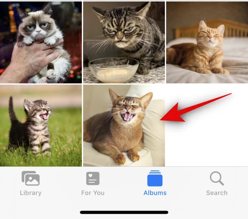 iOS 17以降で写真を使用してLiveステッカーを作成する方法