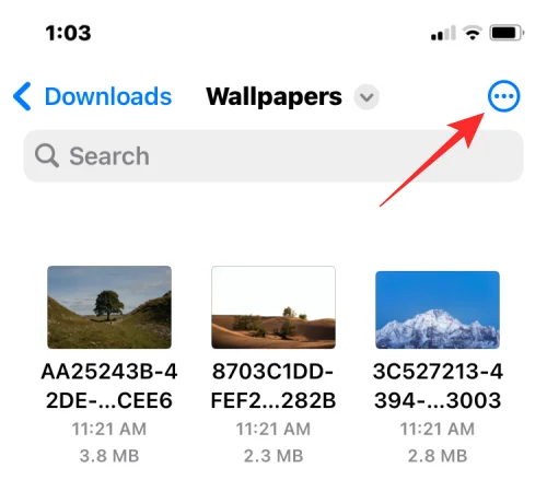 iPhone에서 여러 이미지를 PDF 파일로 병합하는 방법
