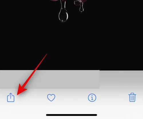 iPhone의 iOS 16에서 깊이 효과가 작동하지 않습니까?  7가지 해결 방법