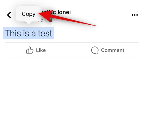 iPhone에서 Facebook에 복사하여 붙여넣는 방법 [2023]