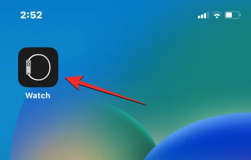 iPhone에서 앱 숨기기 해제: 단계별 가이드