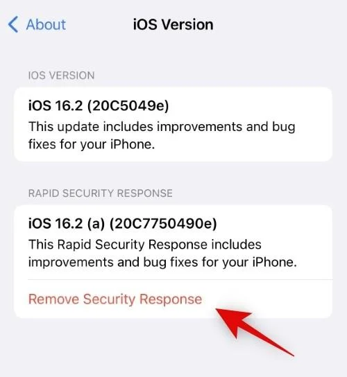 신속한 보안 대응: iPhone에서 보안 업데이트를 제거하는 방법 및 이유