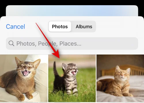 iOS 17以降で写真を使用してLiveステッカーを作成する方法