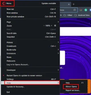 How to View the Browser Version for Chrome, Safari, Firefox, Opera, Brave and Edge