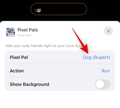 iPhone 14 Pro 및 Pro Max에서 Pixel Pals를 얻는 방법