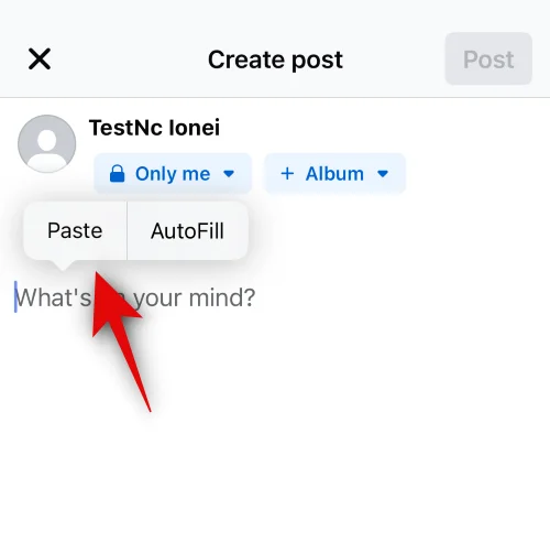 iPhone에서 Facebook에 복사하여 붙여넣는 방법 [2023]