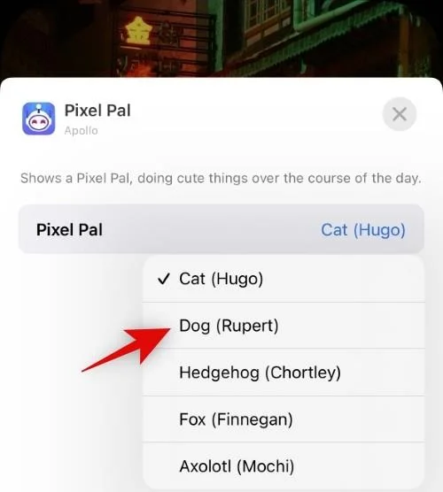 iPhone 14 Pro 및 Pro Max에서 Pixel Pals를 얻는 방법