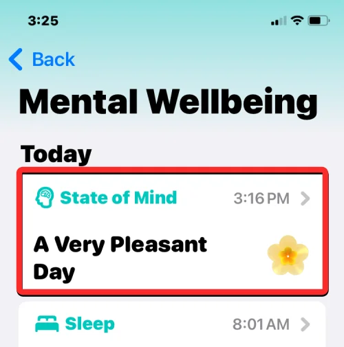 如何在運行 iOS 17 的 iPhone 上的“健康”應用中記錄您的心態