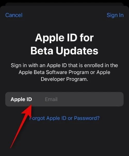 如何為 iOS Beta 更新選擇不同的 Apple ID