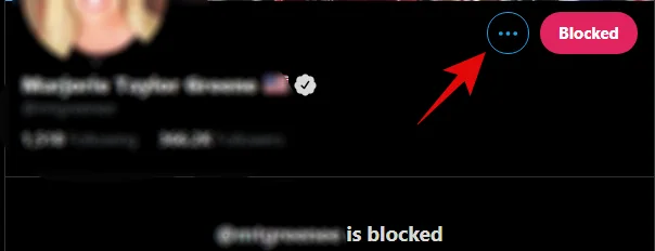 트위터에서 Soft Block은 무엇을 의미하나요?  수행 방법 및 이유