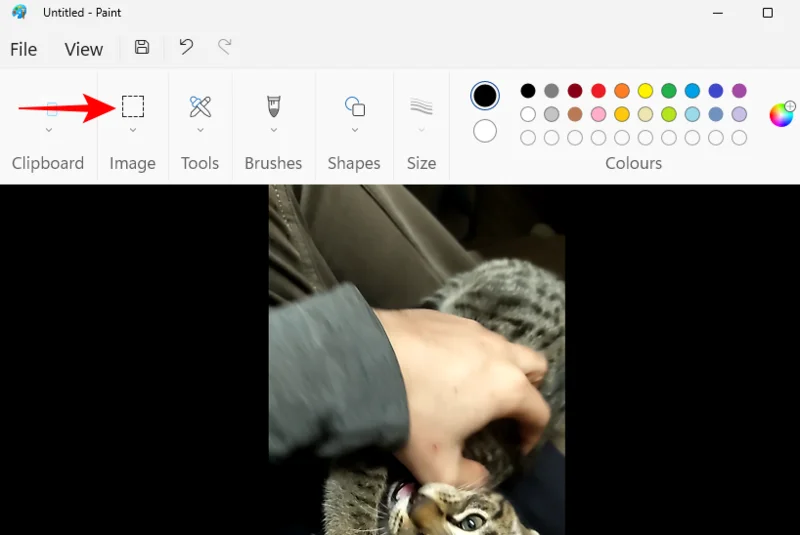 Clipchamp에서 프레임을 고정하는 방법: 단계별 가이드
