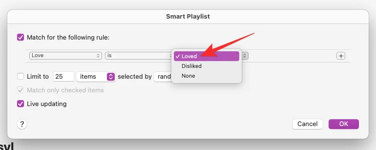 iPhone의 Apple Music에서 좋아하는 노래를 찾는 방법