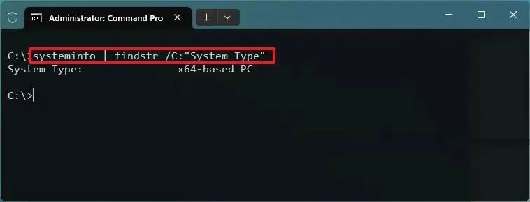 Windows 11 명령 프롬프트 확인 중