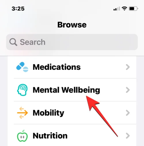 如何在運行 iOS 17 的 iPhone 上的“健康”應用中記錄您的心態