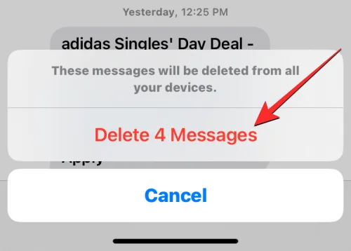 iOS 16 最近刪除的消息：我們完整的分步指南