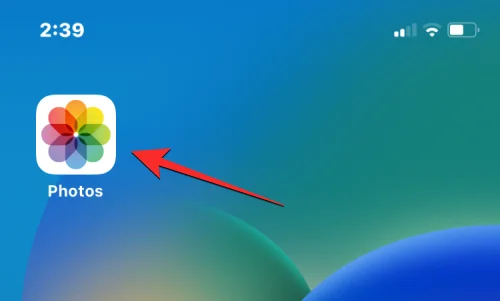 iPhone에서 앱 숨기기 해제: 단계별 가이드