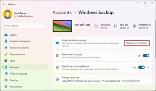 วิธีสำรองข้อมูลแอพ การตั้งค่า และไฟล์บนคลาวด์บน Windows 11