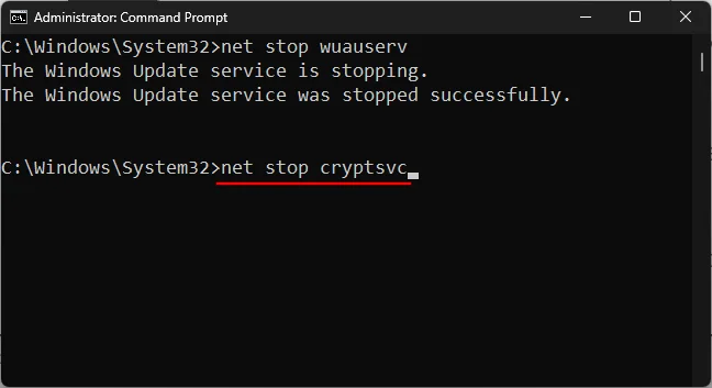 7 วิธีในการแก้ไข “ข้อผิดพลาดการดาวน์โหลด 0x80248007” บน Windows [คำแนะนำทีละขั้นตอน]