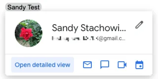 Google 스마트 칩이란 무엇이며 어떻게 사용하나요?
