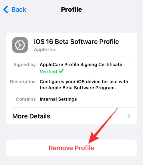 如何在沒有計算機的情況下刪除 iOS 16 Beta：您需要了解的指南和詳細信息