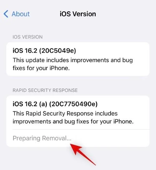 신속한 보안 대응: iPhone에서 보안 업데이트를 제거하는 방법 및 이유