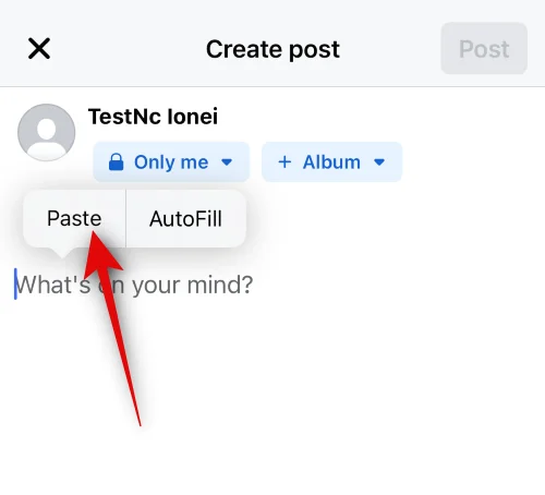 iPhone에서 Facebook에 복사하여 붙여넣는 방법 [2023]
