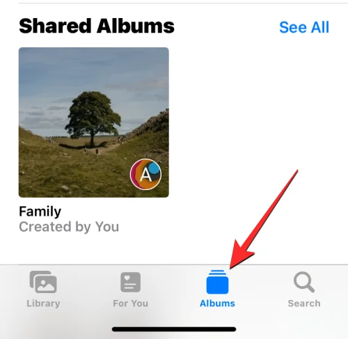 iPhone에서 모든 사진을 삭제하는 방법 [2023]