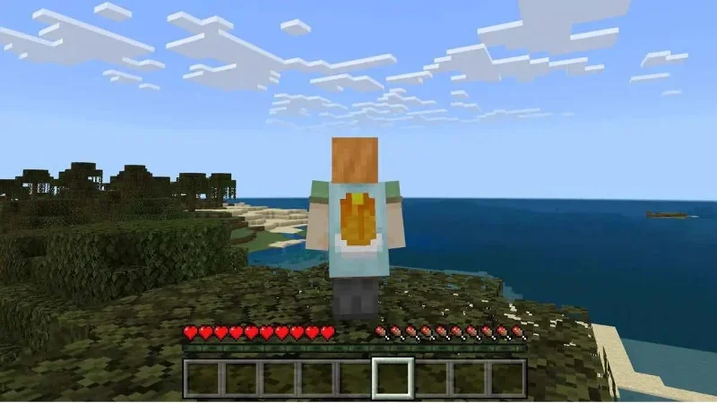 Minecraft에서 망토를 얻는 방법
