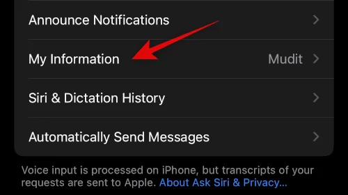 iPhone 14에서 Siri를 다운로드하고 사용하는 방법
