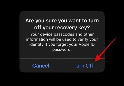 iPhone의 고급 데이터 보호란 무엇입니까?  활성화하는 방법과 이유