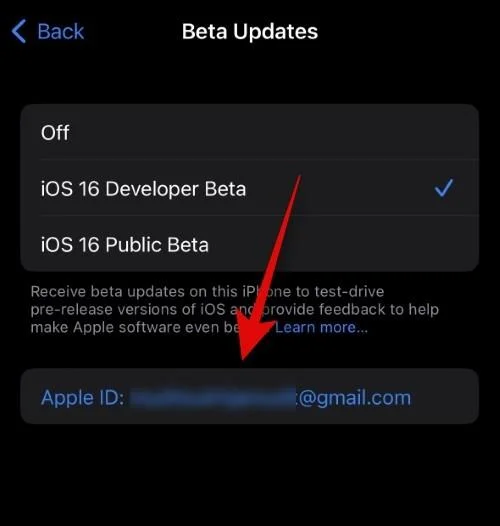 如何為 iOS Beta 更新選擇不同的 Apple ID