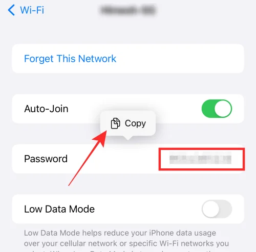 iOS 16의 iPhone에서 WiFi 비밀번호를 보고 공유하는 방법