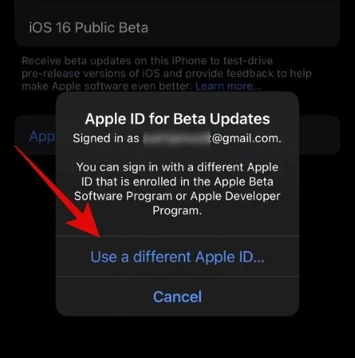 如何為 iOS Beta 更新選擇不同的 Apple ID