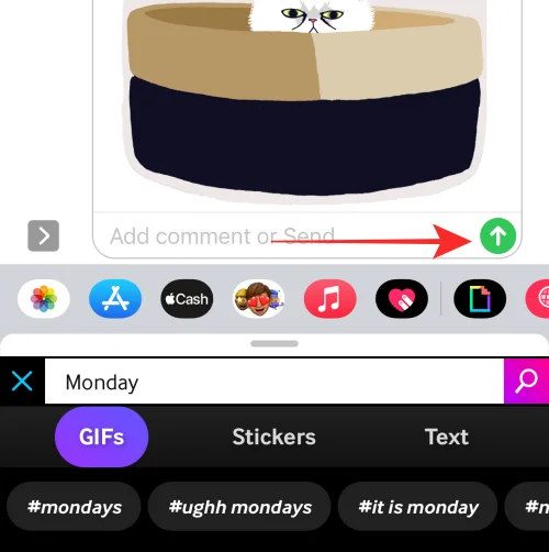 iPhone에서 GIF가 작동하지 않나요?  10가지 방법으로 고치는 방법